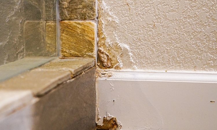 how to prevent leaks in shower enclosures