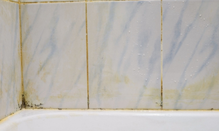 How to Remove Mould from Bathroom
