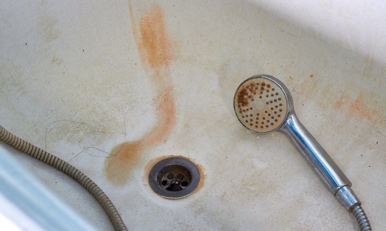Remove Mould from Bathroom in Singapore