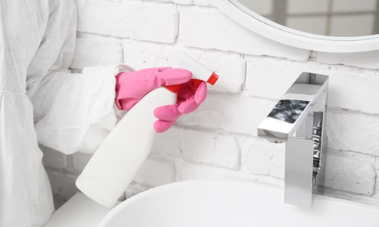 Remove Mould from Bathroom